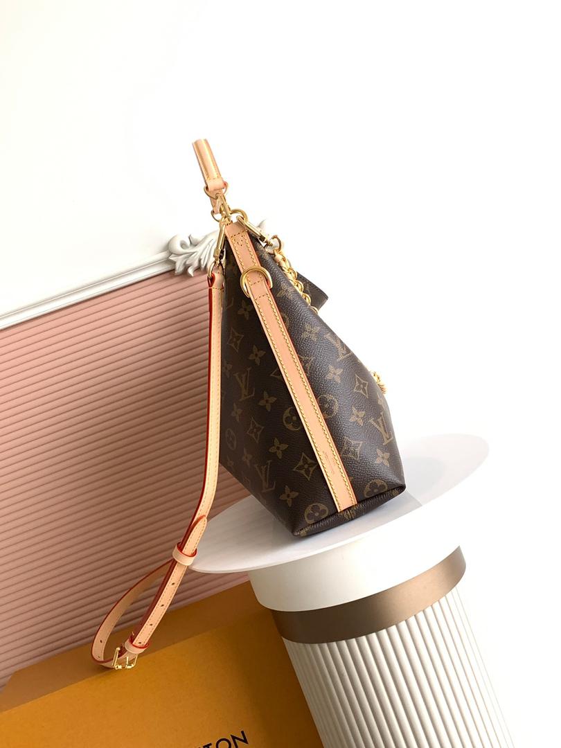 Louis Vuitton CarryAll Monograma vista frontal